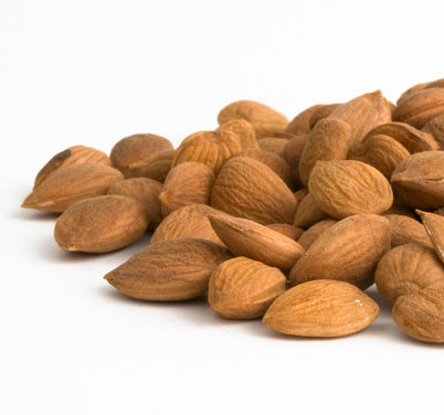 Aprikosenkerne | BITTER | Naturbelassen | Aprikosen Kerne | B17 | 500g
