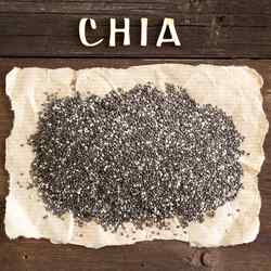Chia Samen schwarz naturbelassen 5kg