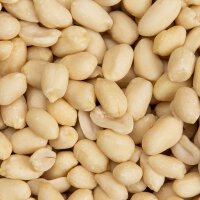 Erdnüsse naturbelassen ganz blanchiert