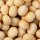 Macadamia ganz Naturbelassen