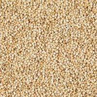 Quinoa Samen weiß naturbelassen